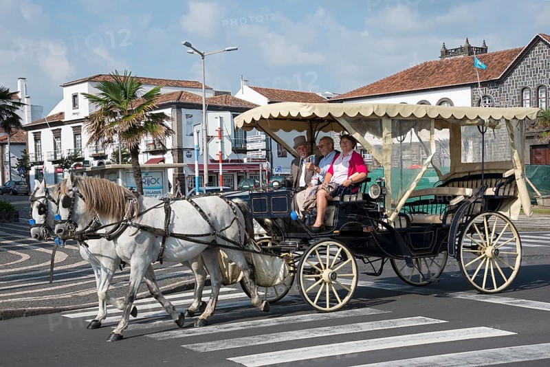 Carriage