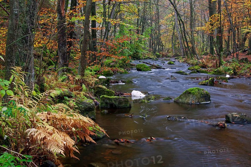 River Skaeran in autumn in Soederasen National Park