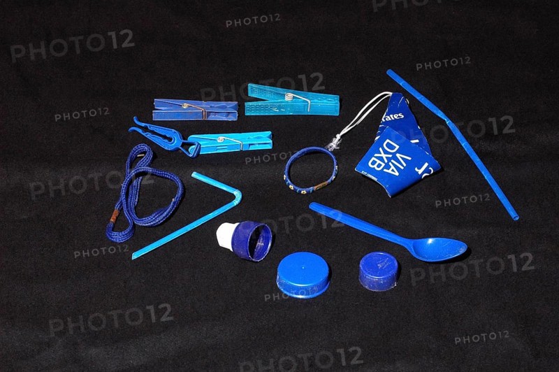 Objects collected by the Silk Bowerbird