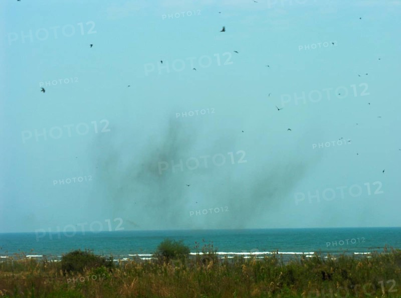 Sea fly swarm