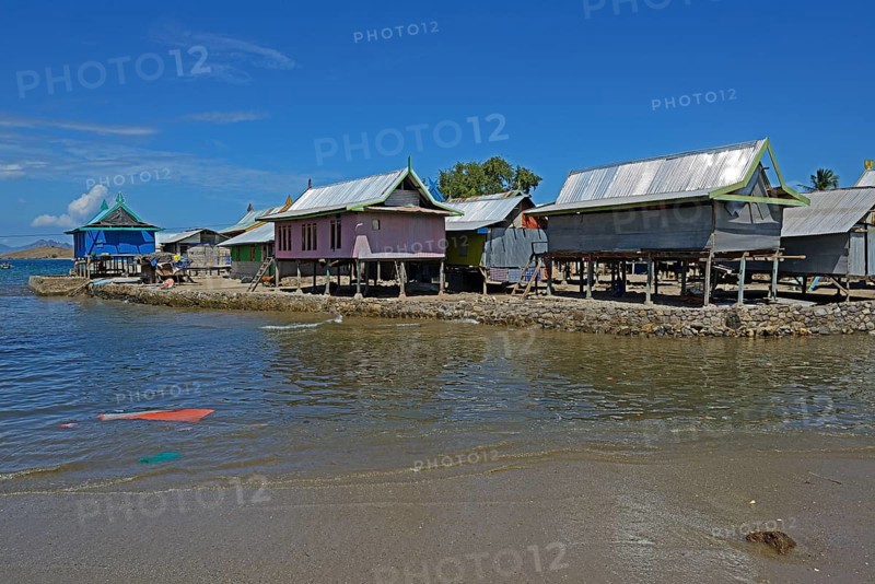 Typical pile dwellings