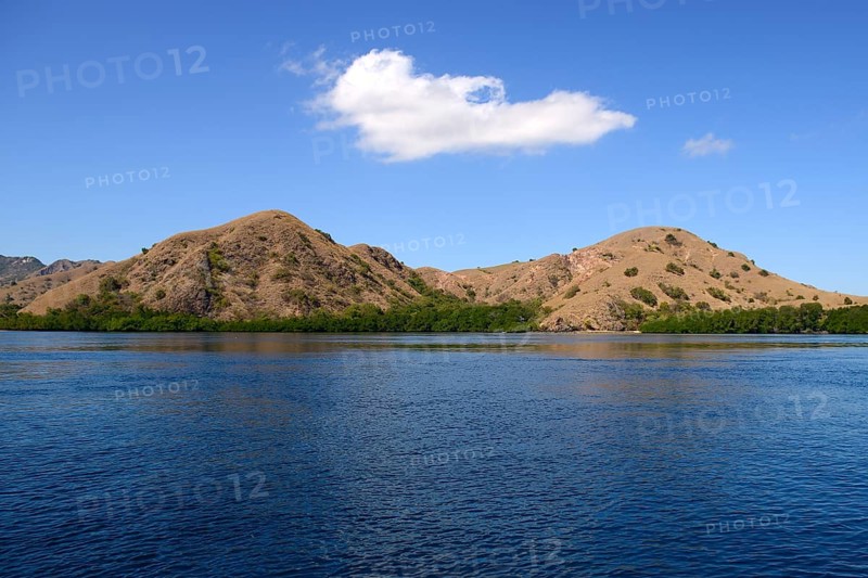 Rinca Island Hills