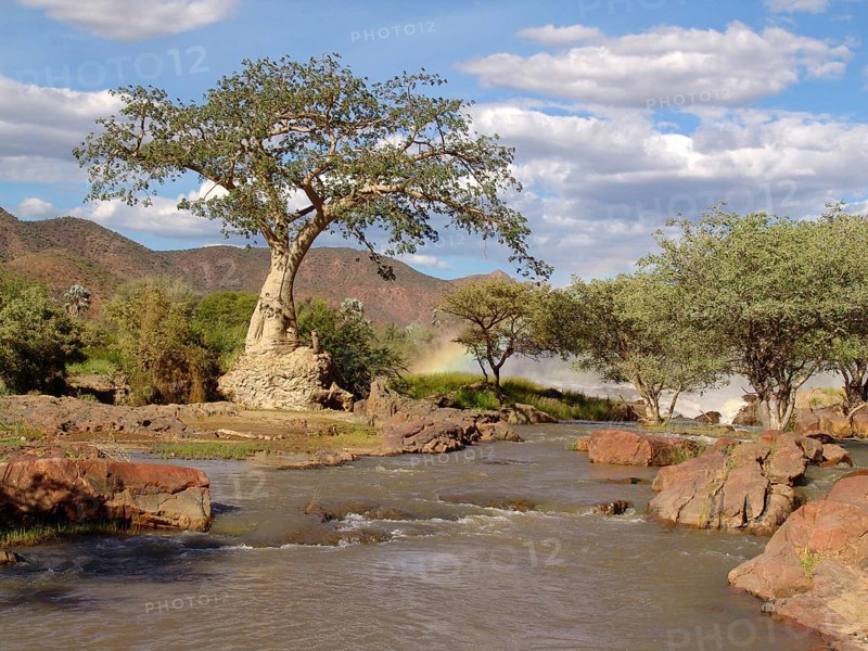 Epupa Falls with Baobab