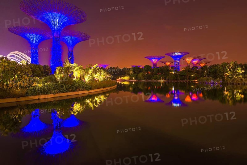 Gardens by the Bay