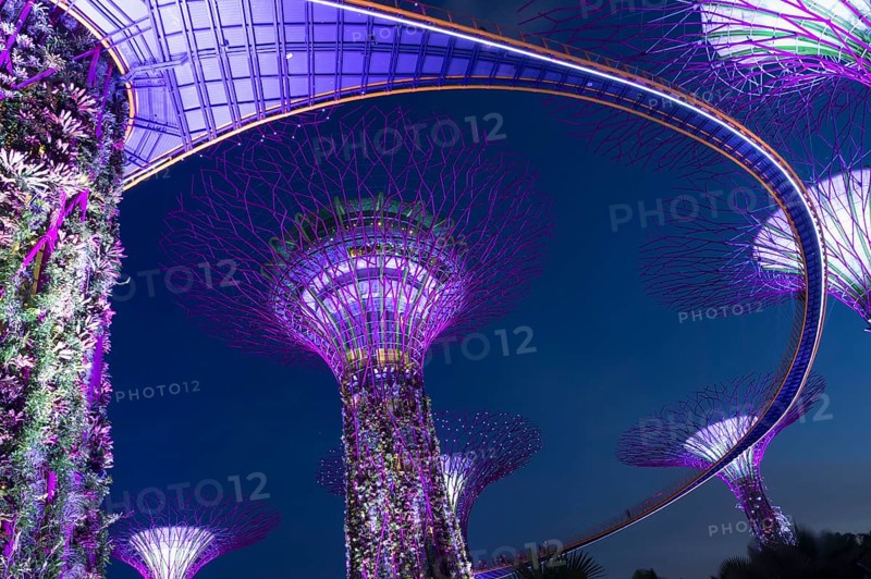 Gardens by the Bay