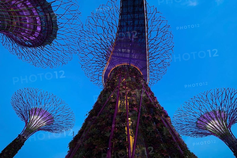 Gardens by the Bay