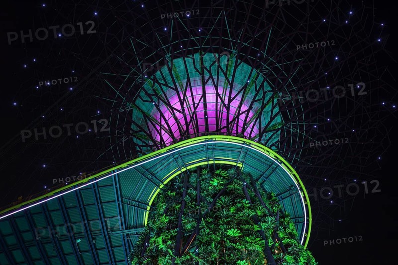 Gardens by the Bay