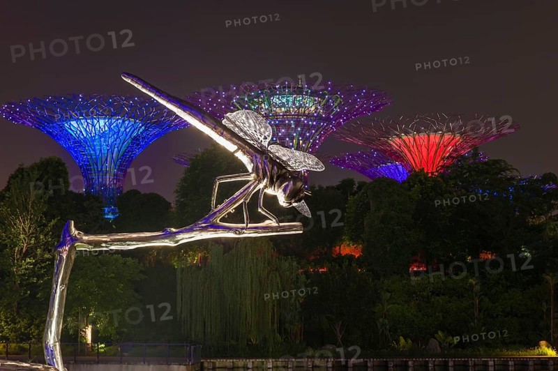 Dragonfly Sculptures by the Bay