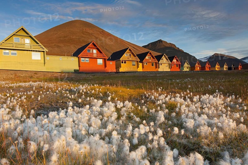 Colourful wooden houses in the settlement of Longyearbyen in summer