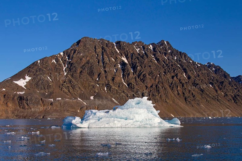 Ice floe calved from the Lilliehoeoekbreen glacier floating in Lilliehoeoekfjorden