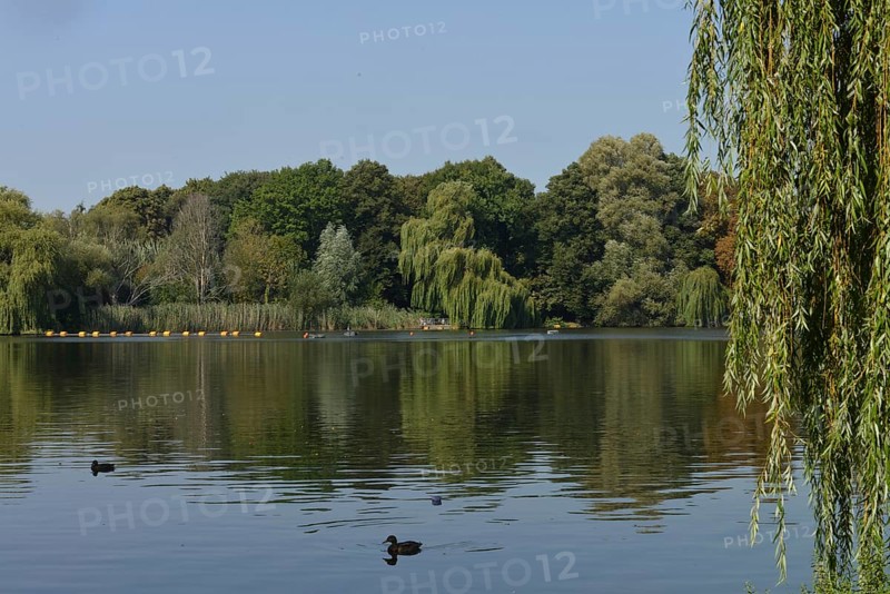 Schaefersee