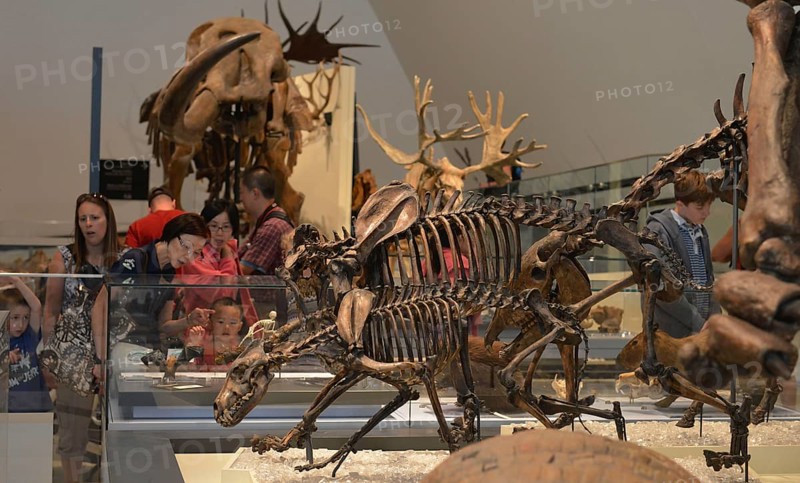 Royal Ontario Museum