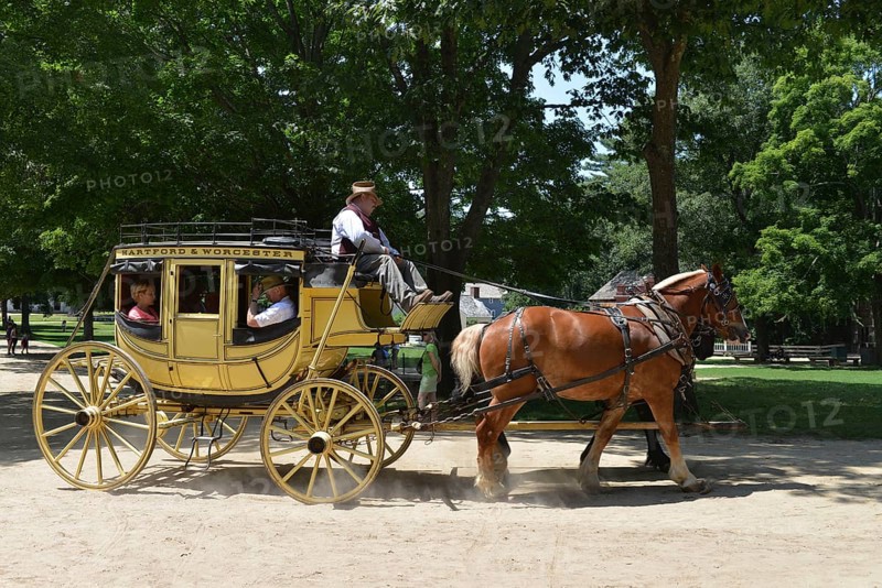 Horse-drawn carriage