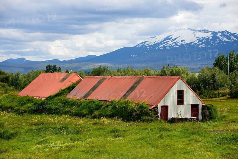 Mork Farm