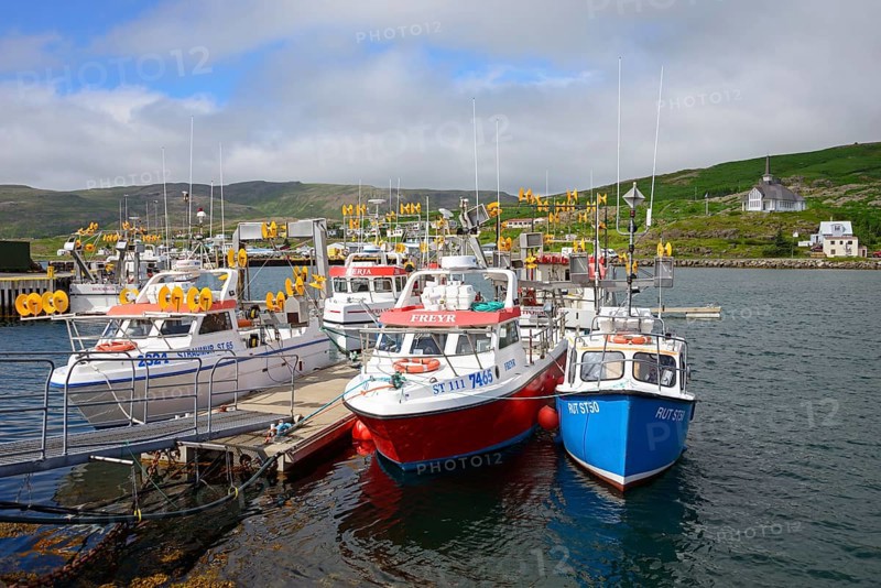 Harbour