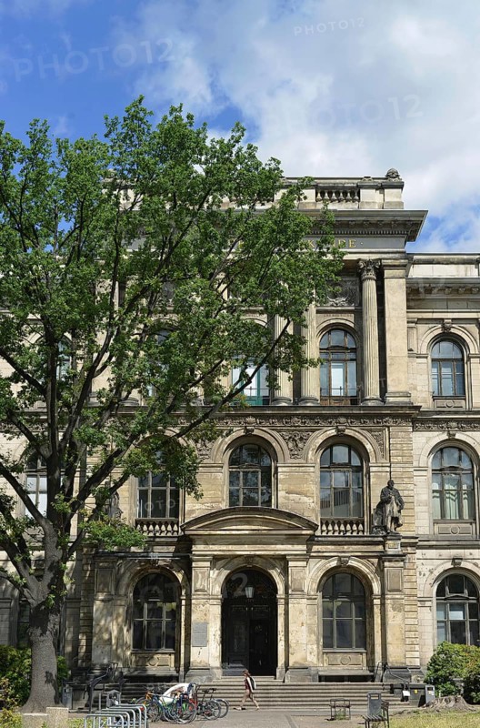 Museum of Natural History