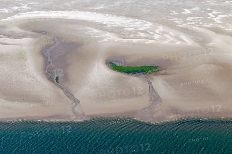 Aerial view of tidal mudflats and seagrass