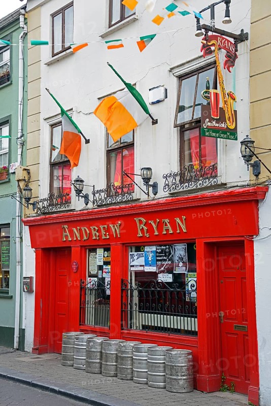 Andrew Ryan Pub