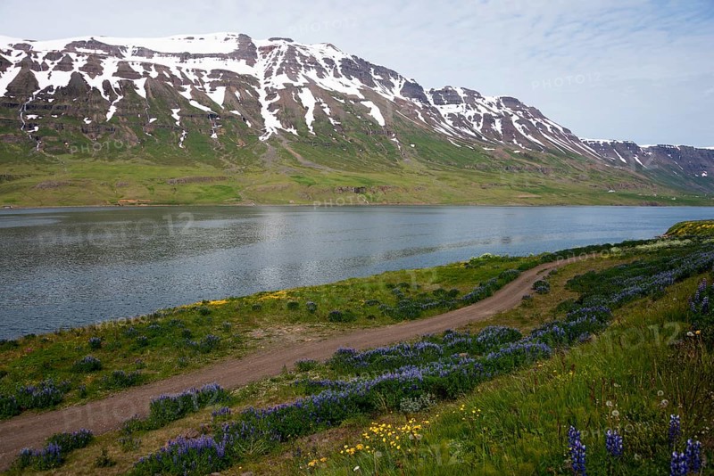 Fjord Seydisfjordur