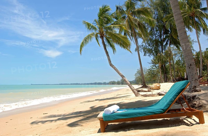 Beach lounger under palm trees by the sea
