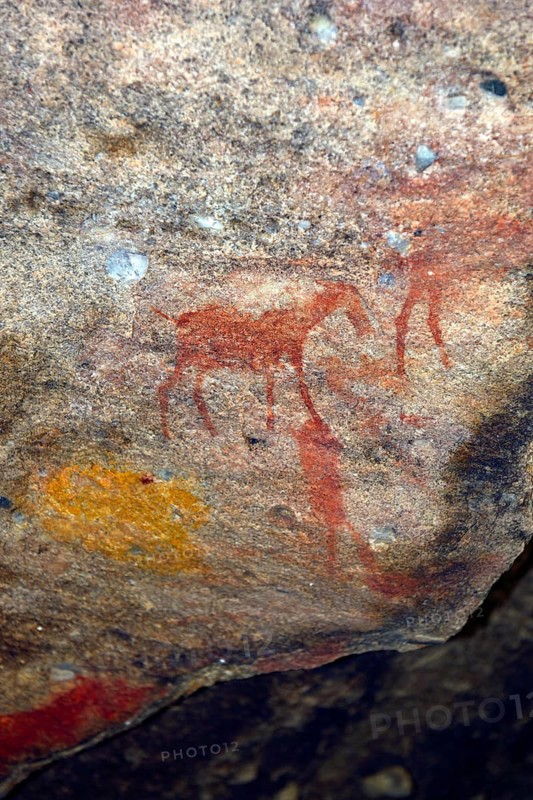Ancient rock art