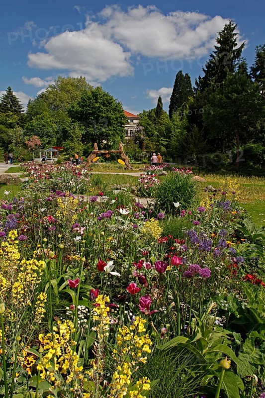 Botanical Garden