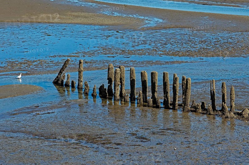 Alte groyne