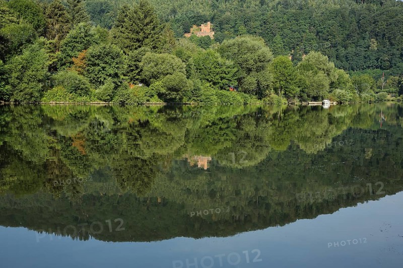 Schadeck Castle or Swallow's Nest with Reflection in the Neckar River in Neckarsteinach