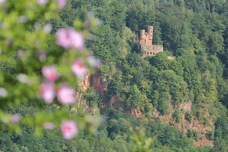 View of Schadeck Castle or Swallow's Nest with rock cliffs in Neckarsteinach