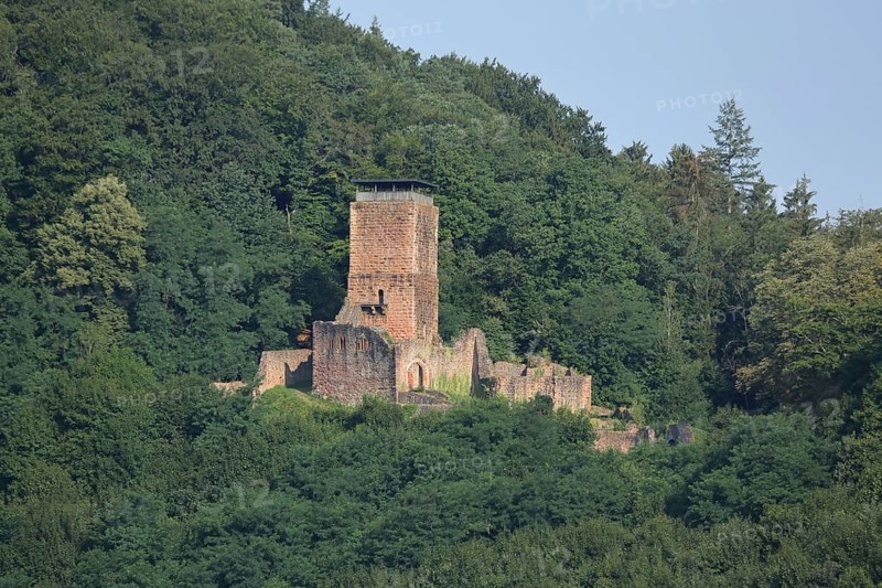 Hinterburg in Neckarsteinach