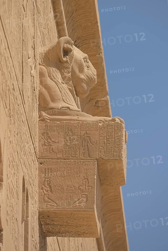 Lion-headed gargoyle