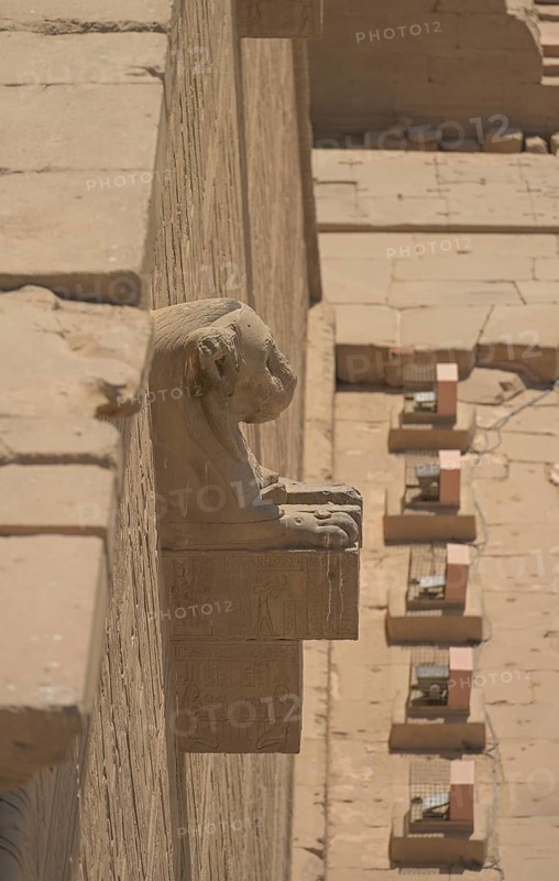 Lion-headed gargoyle