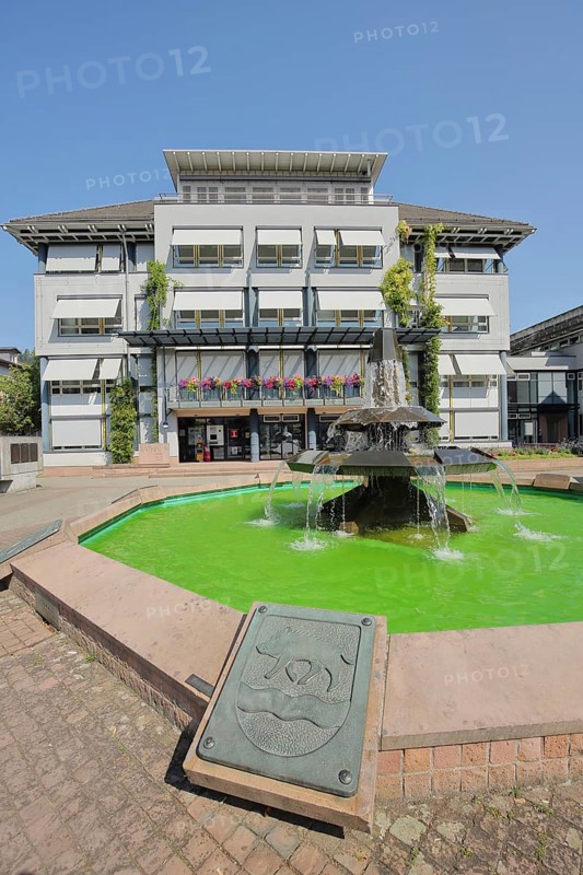 Town hall with town coat of arms and fountain with green water at Leopoldsplatz in Eberbach