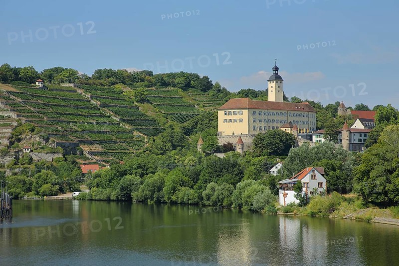 Horneck Castle in Gundelsheim