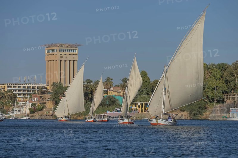 Sailing boats