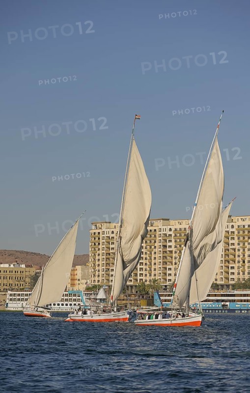 Sailing boats