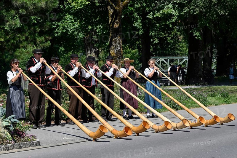 Alphorn players