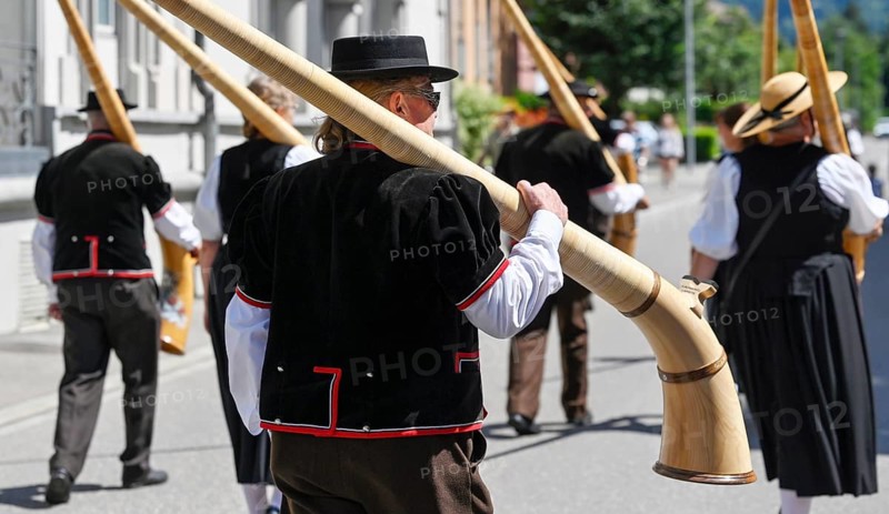 Alphorn players