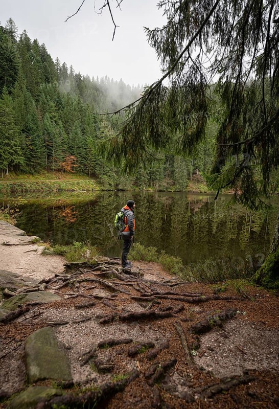 Man looking at the Glaswaldsee and enjoying nature