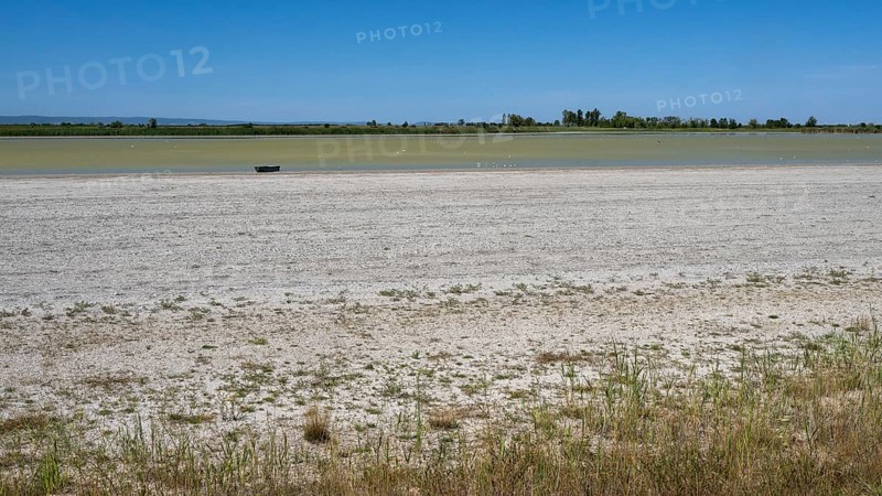 Heavily dried out Darscho or Warmsee