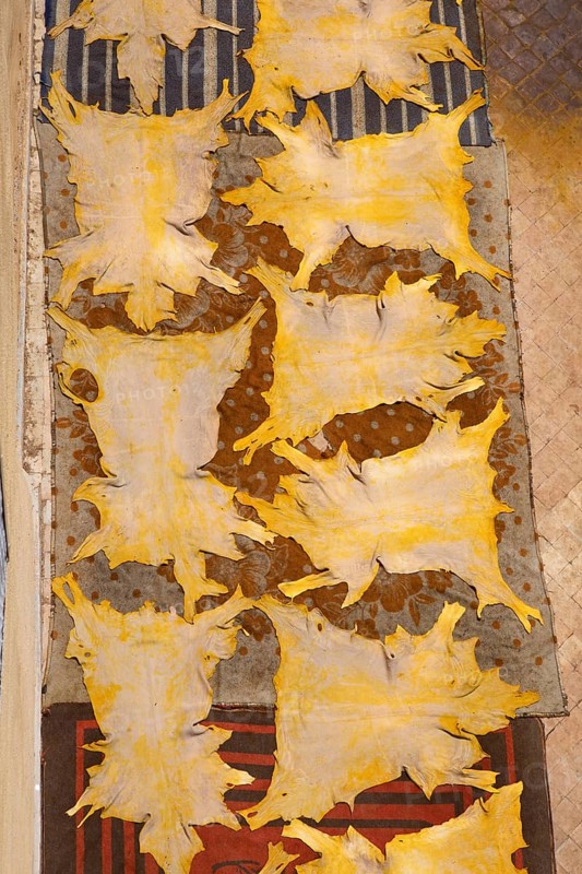 Goatskin dyed with saffron
