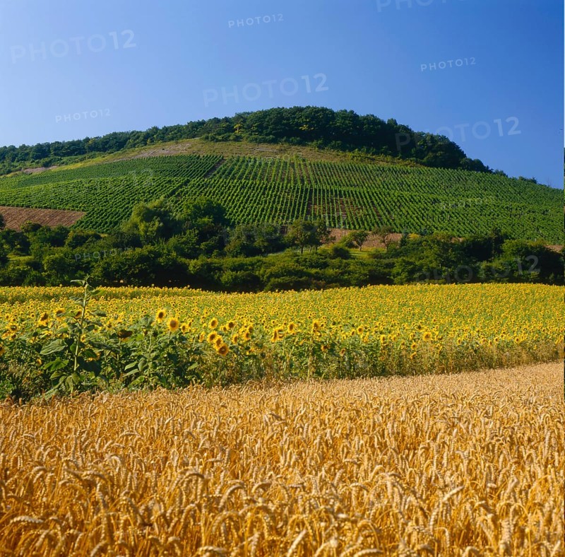 Stromberg