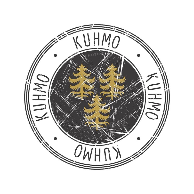 Kuhmo city