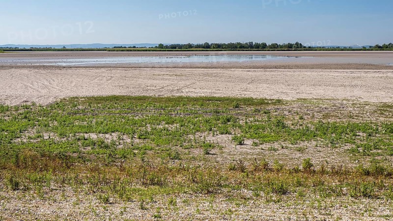 Heavily dried-up Zicksee