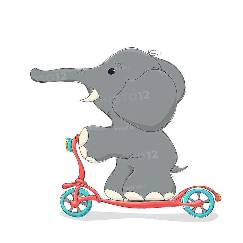 Elphant riding a scooter