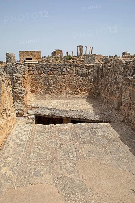 Roman mosaic