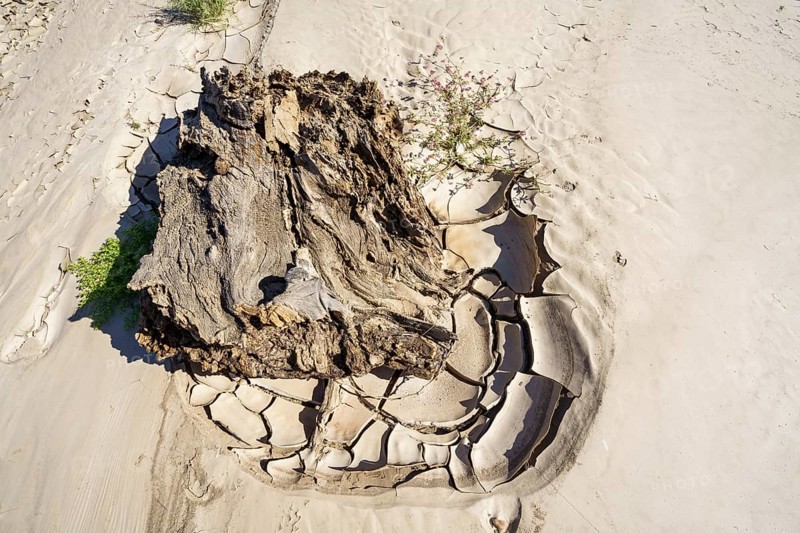 Cracked clay mud patterns and a big piece of wood in a dry river bed