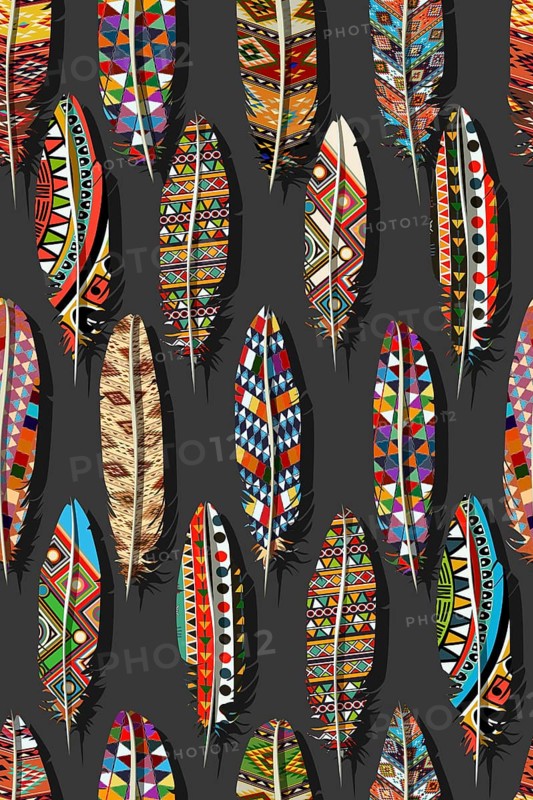 Color feathers embroidery seamless vector pattern. Decorative feathers embroidery