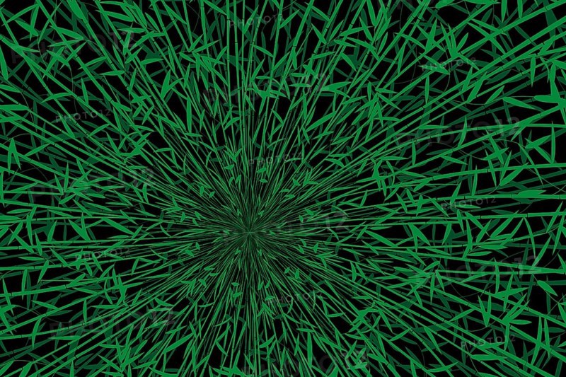 Bamboo forest wallpaper background