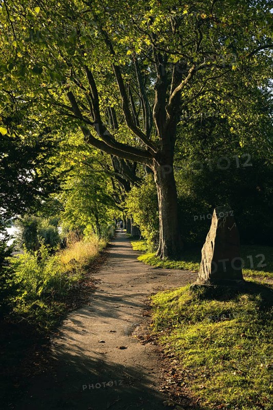 Light atmosphere in Mettnaupark